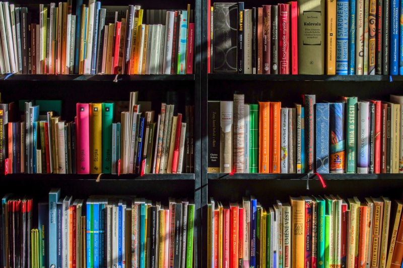 boutique-MEOUNES LES MONTRIEUX-min_books_bookstore_book_reading_shop_writer_sale_books_read-822866